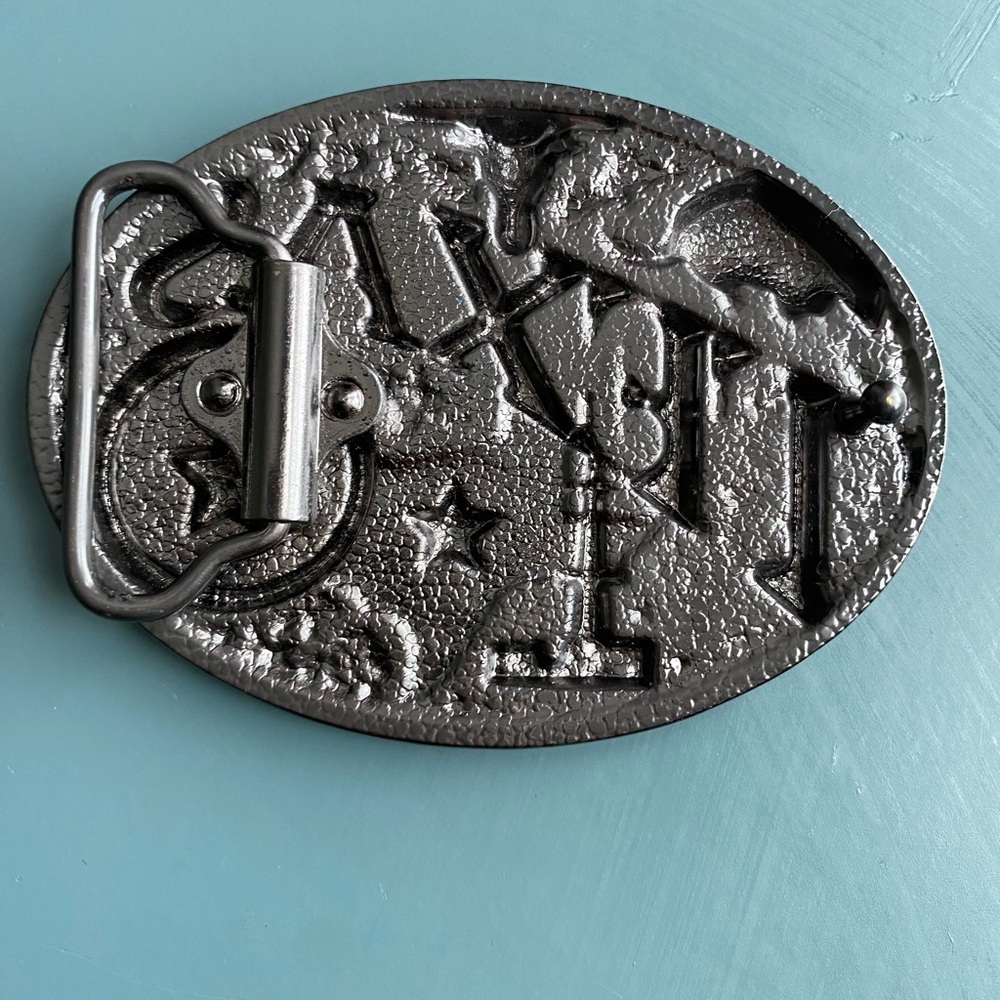 Texas Belt Buckle with Armadillo and Longhorn - Picture 3 of 3